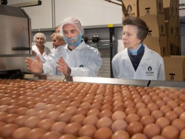 Visa Sponsorship Egg Packing Jobs in Australia